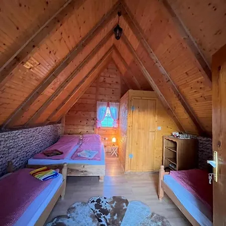 펜션 Brvnare.smaka 셰니차